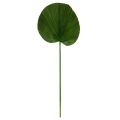 Palm leaf, 102 cm
