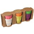 CUPFUL OF COLOUR M cup/6 RBW