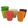 CUPFUL OF COLOUR L cup/6 RBW