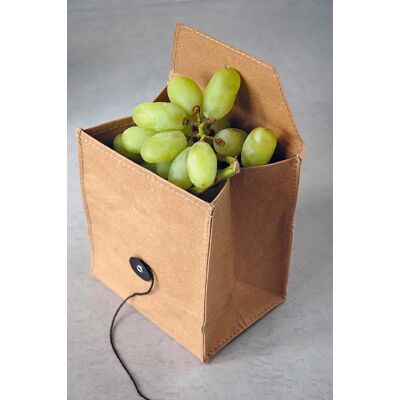 Freshionable Lunchbag Kraft Small - zuperzozial