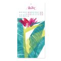 2020 Wandkalender | In Friedrichs Garten - Exotische Blumen