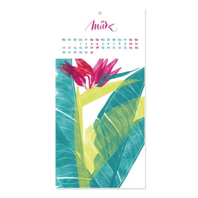 2020 Postkarten-Kalender | In Friedrichs Garten - Exotische Blumen