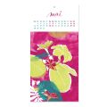 2020 Postkarten-Kalender | In Friedrichs Garten - Exotische Blumen