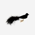 Vogel SAMT | schwarz