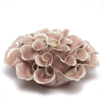 Coral - Flower Pink