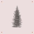 Advent Calendar - Forest