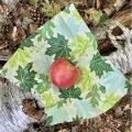 Bees Wrap FOREST FLOOR | 3er-Pack Auswahl